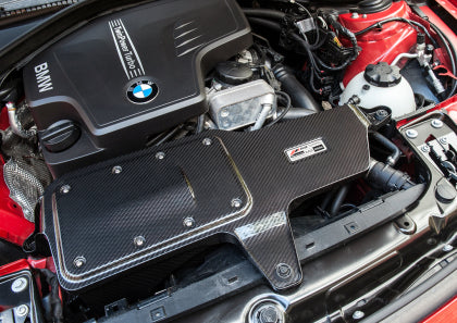 AWE - BMW 228i/320i/328i/428i S-FLO Carbon Intake