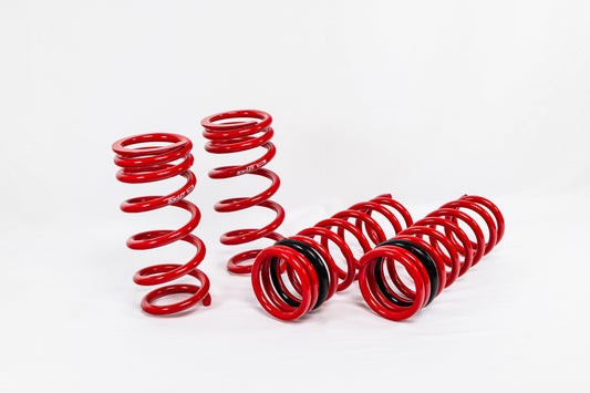 Nissan GTR (2015+) Sport Springs