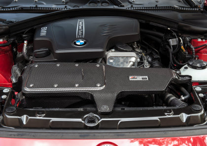 AWE - BMW 228i/320i/328i/428i S-FLO Carbon Intake