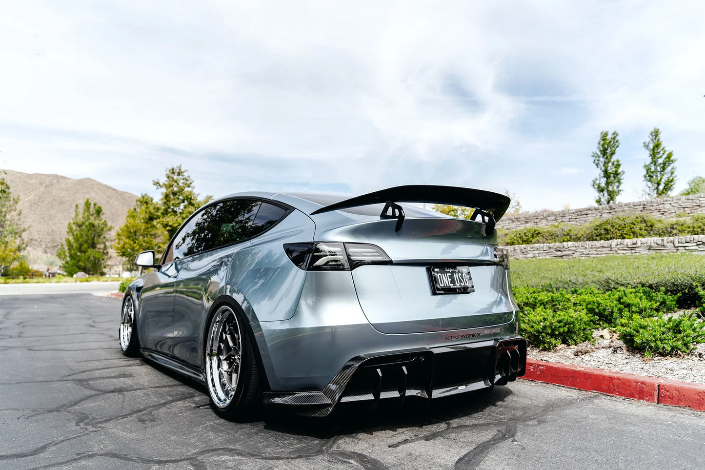 ADRO - AT-S Carbon Fiber Swan Neck Wing || Model Y