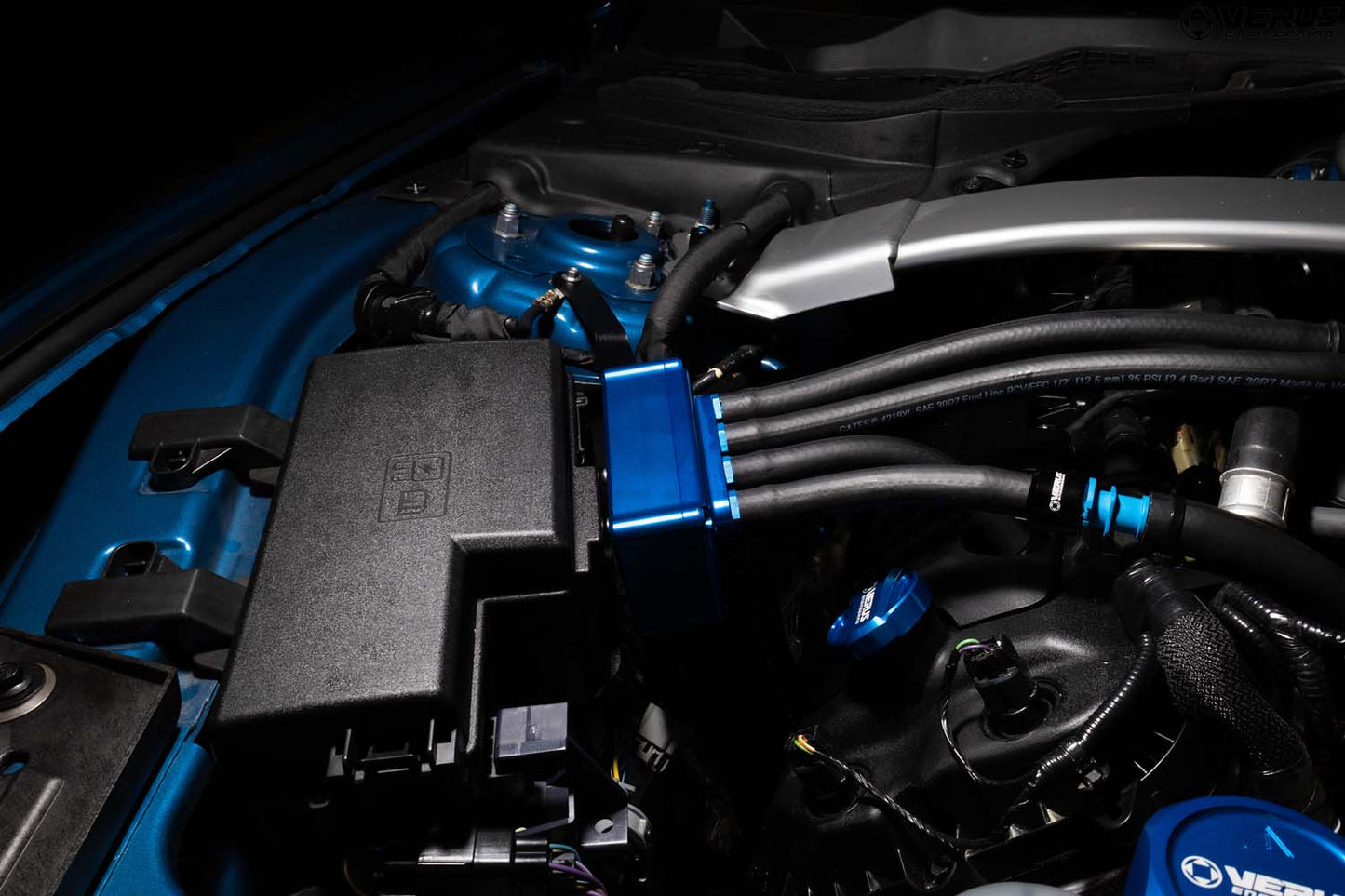 Verus - Oil Separator || GT/GT350/GT350R