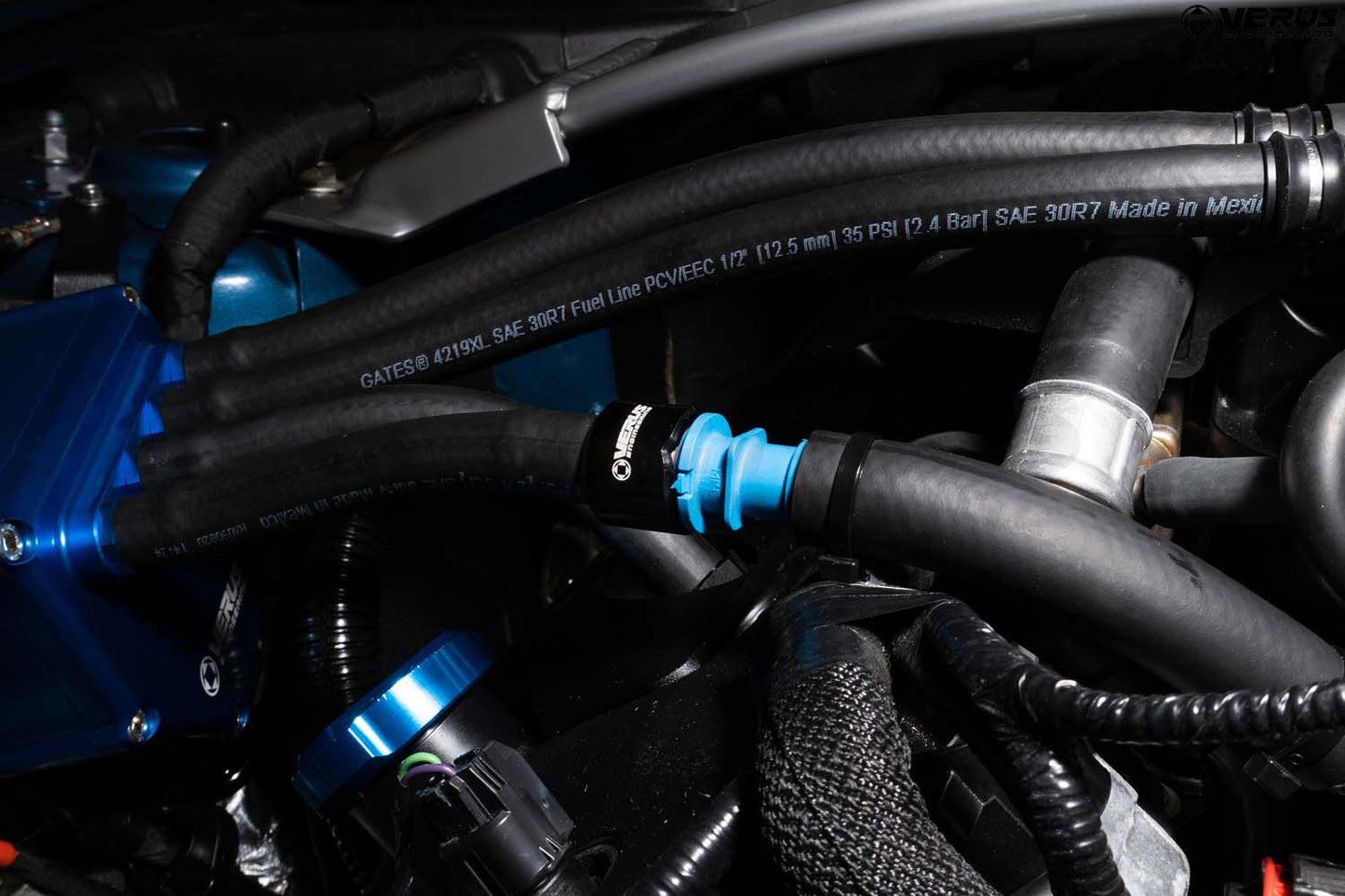 Verus - Oil Separator || GT/GT350/GT350R