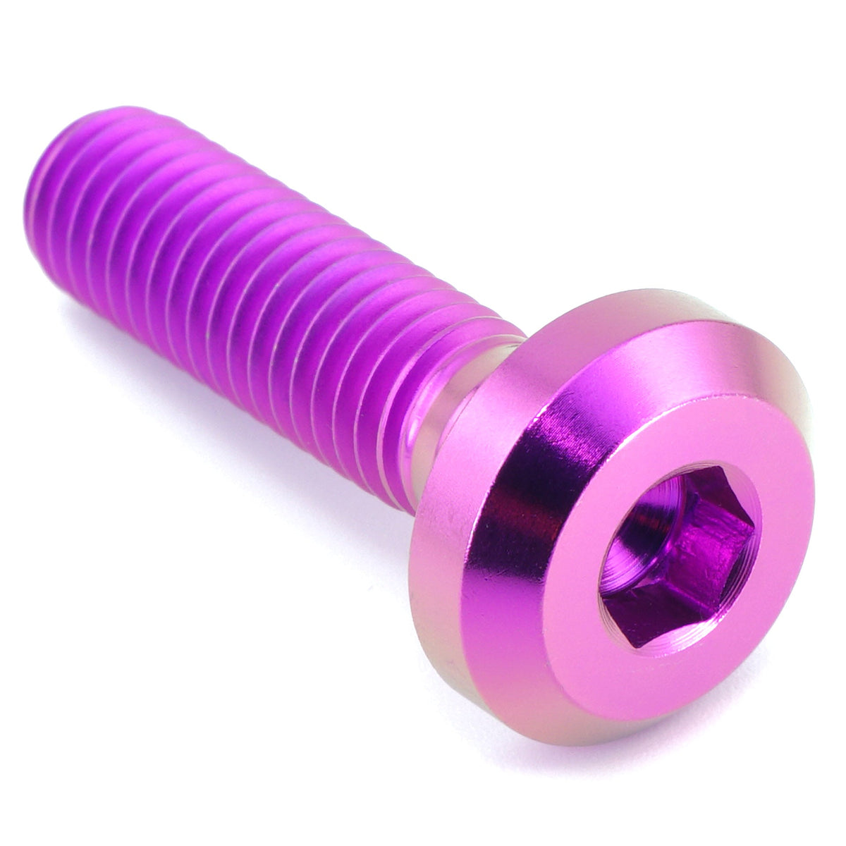 M8 x 1.25 x 30mm Titanium Motor Head Bolt