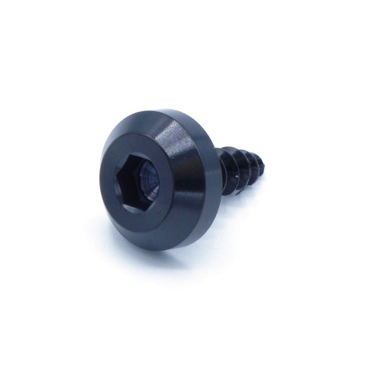 M5 x 2.0 x 15mm Titanium Motor Head Screw