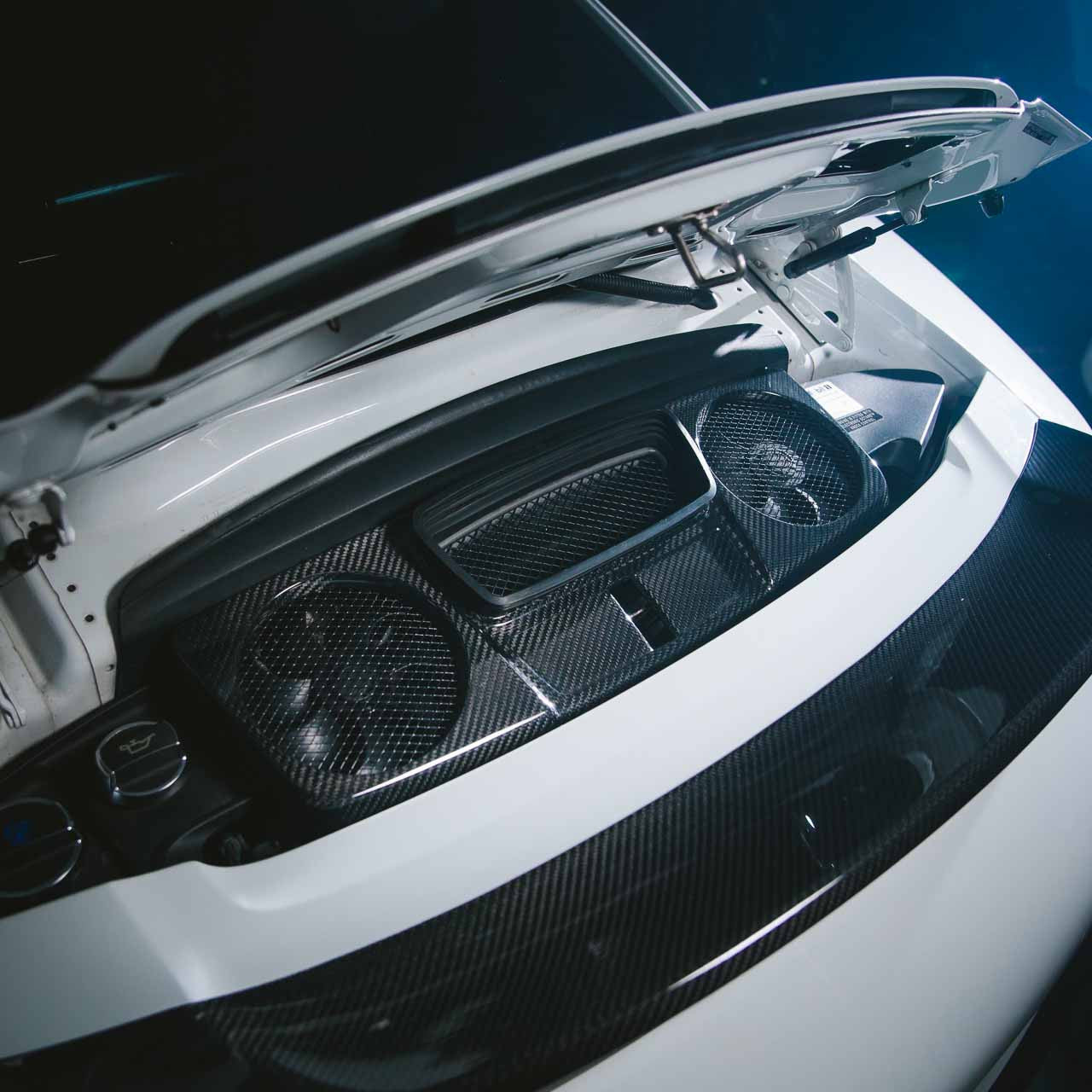 Rennline - Carbon Fiber Fan Shroud || 991.1