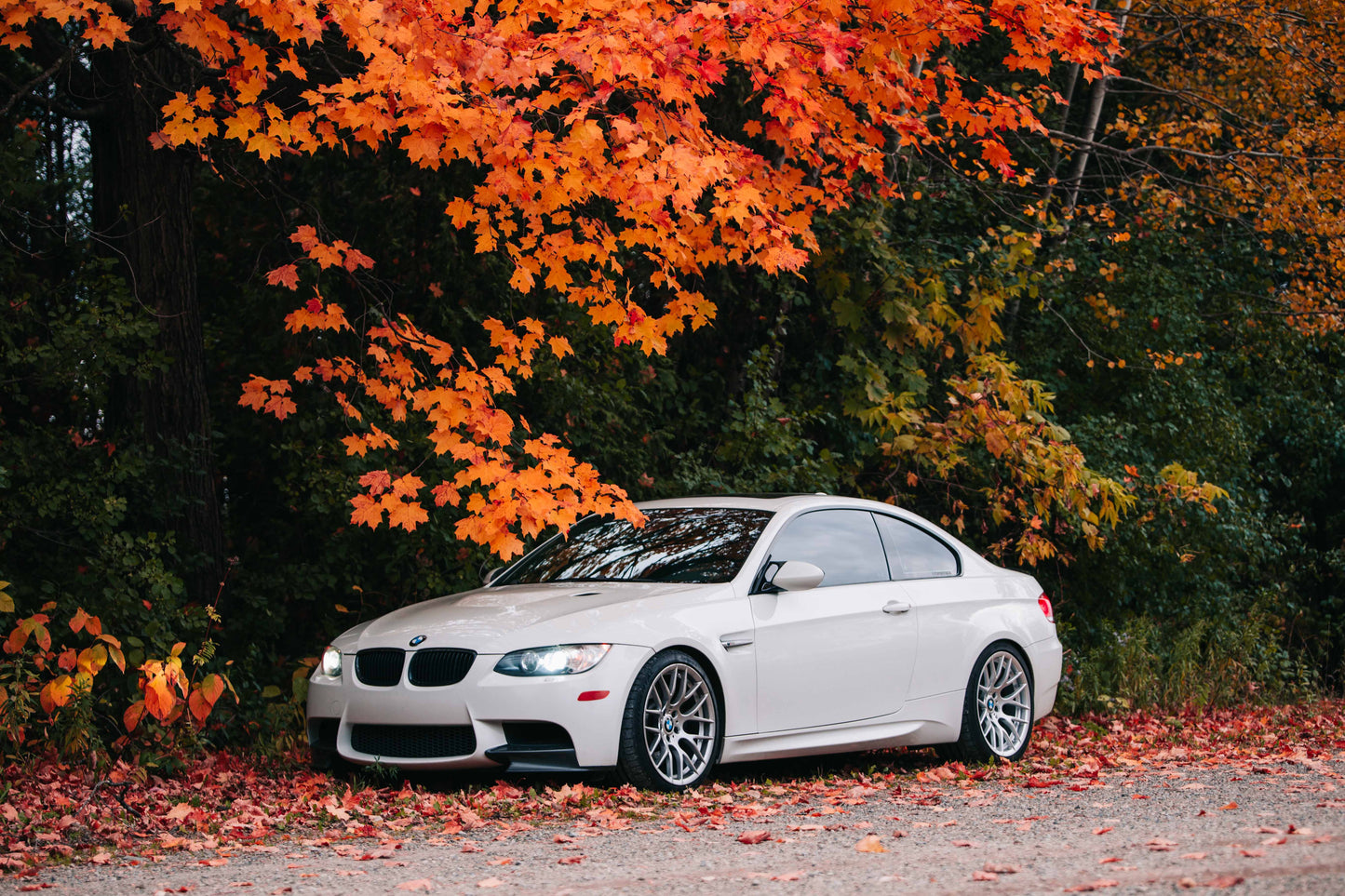 BMW M3 E90/E92/E93 (2008β2013) Spec-R Lowering Springs