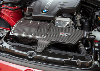 AWE - BMW 228i/320i/328i/428i S-FLO Carbon Intake