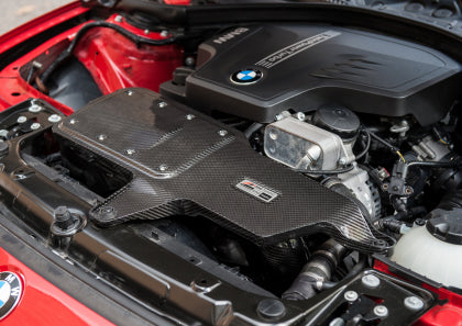 AWE - BMW 228i/320i/328i/428i S-FLO Carbon Intake