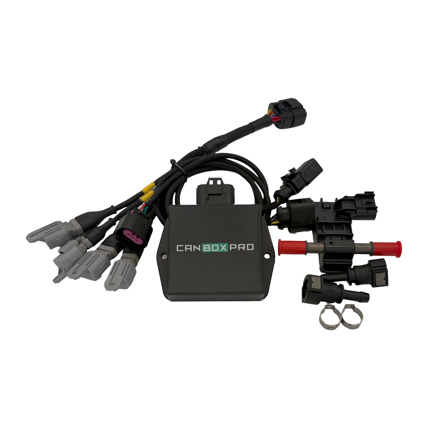 NexGen Audi RS3 (8V) Flex Fuel Kit - CAN bus