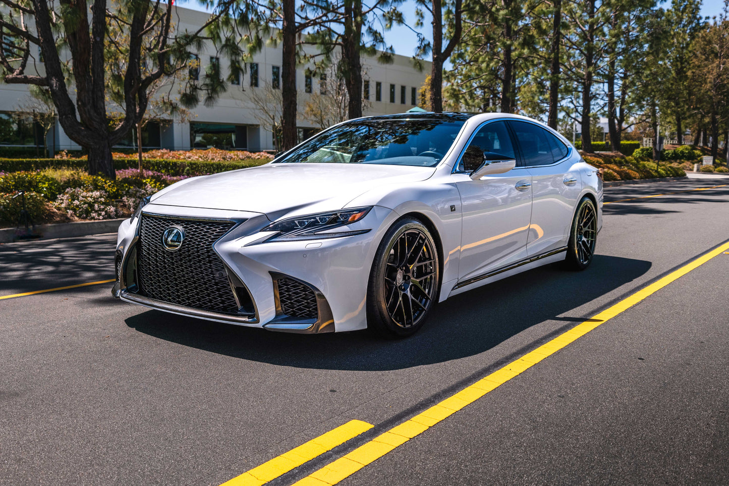 Lexus LS 500 (2018+) Sport Springs