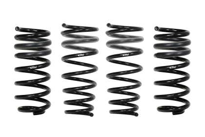 Eibach - G20 Pro-Kit Performance Springs (Set of 4)