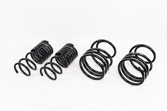 Subaru WRX (2015–2021) Spec-R Lowering Springs