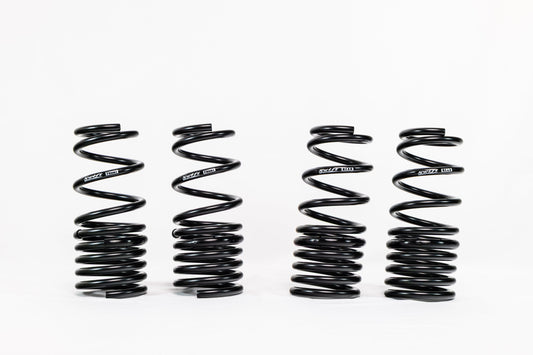 Honda S2000 AP1/AP2 (2000–2009) Spec-R Lowering Springs