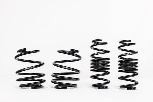 Honda Civic Type R FL5 (2023+) Spec-R Lowering Springs