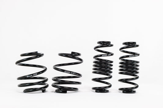 Acura Integra Type S (2023+) Spec-R Lowering Springs