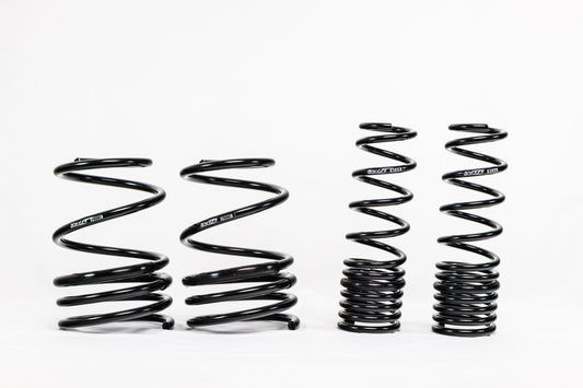Mitsubishi Lancer EVO X (2008–2016) Spec-R Lowering Springs