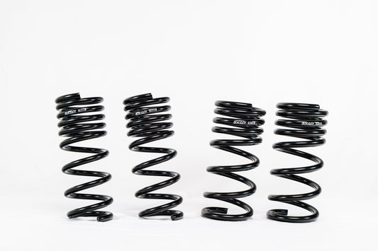 Nissan 370Z Z34 (2009–2020) Spec-R Lowering Springs