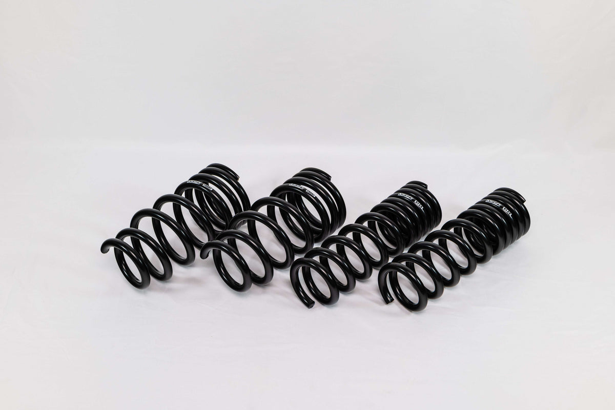Lexus GS F (2016–2020) Spec-R Lowering Springs