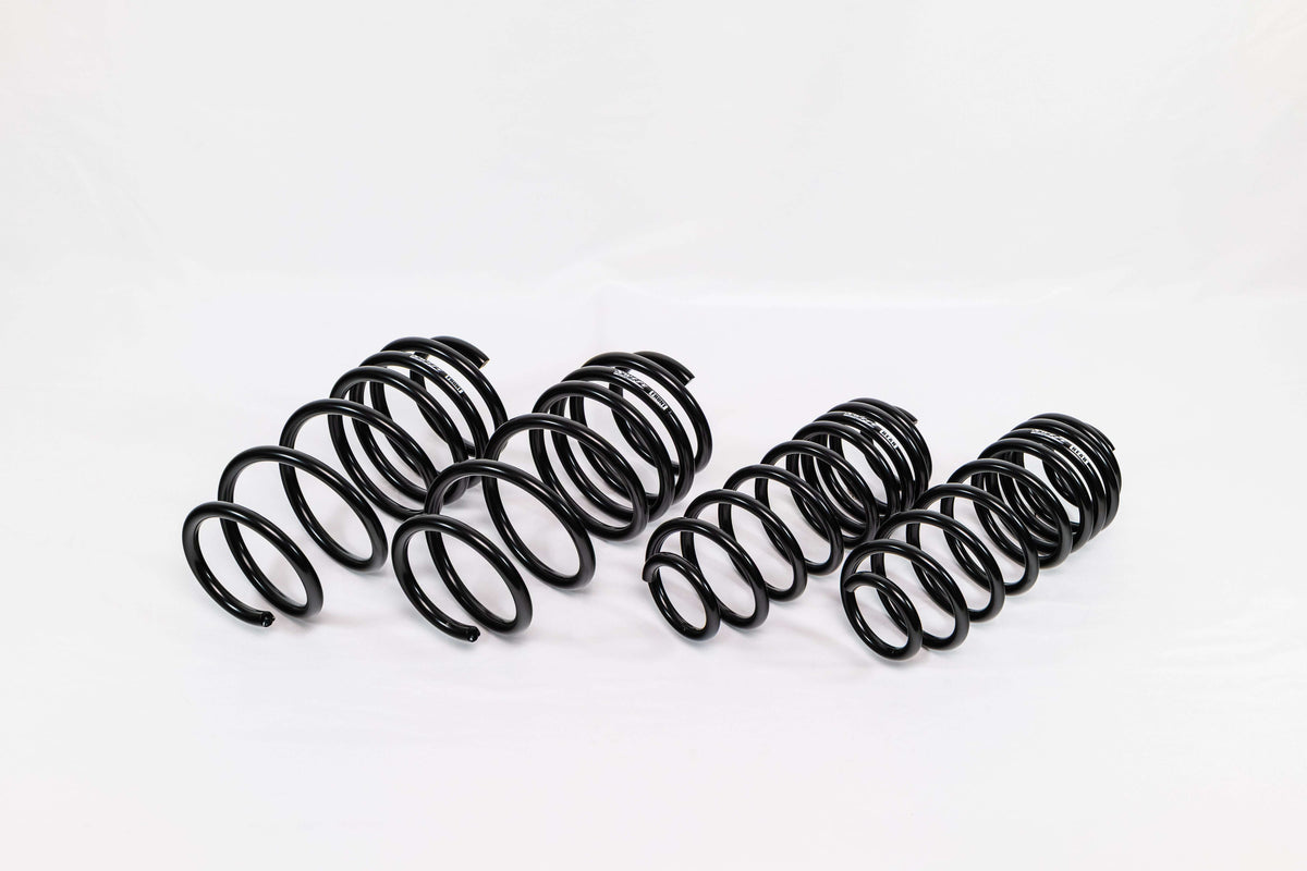 Ford Fiesta ST (2014–2019) Spec-R Lowering Springs
