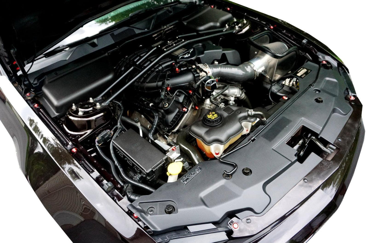 ZSPEC "Stage 3" Dress Up Bolts® Fastener Kit for 11-14 Ford Mustang 3.7L S197, Stainless & Billet