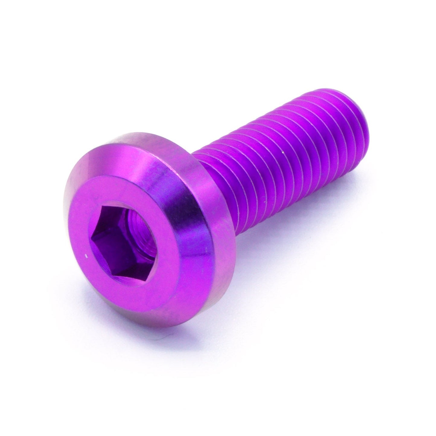M8 x 1.25 x 25mm Titanium Motor Head Bolt