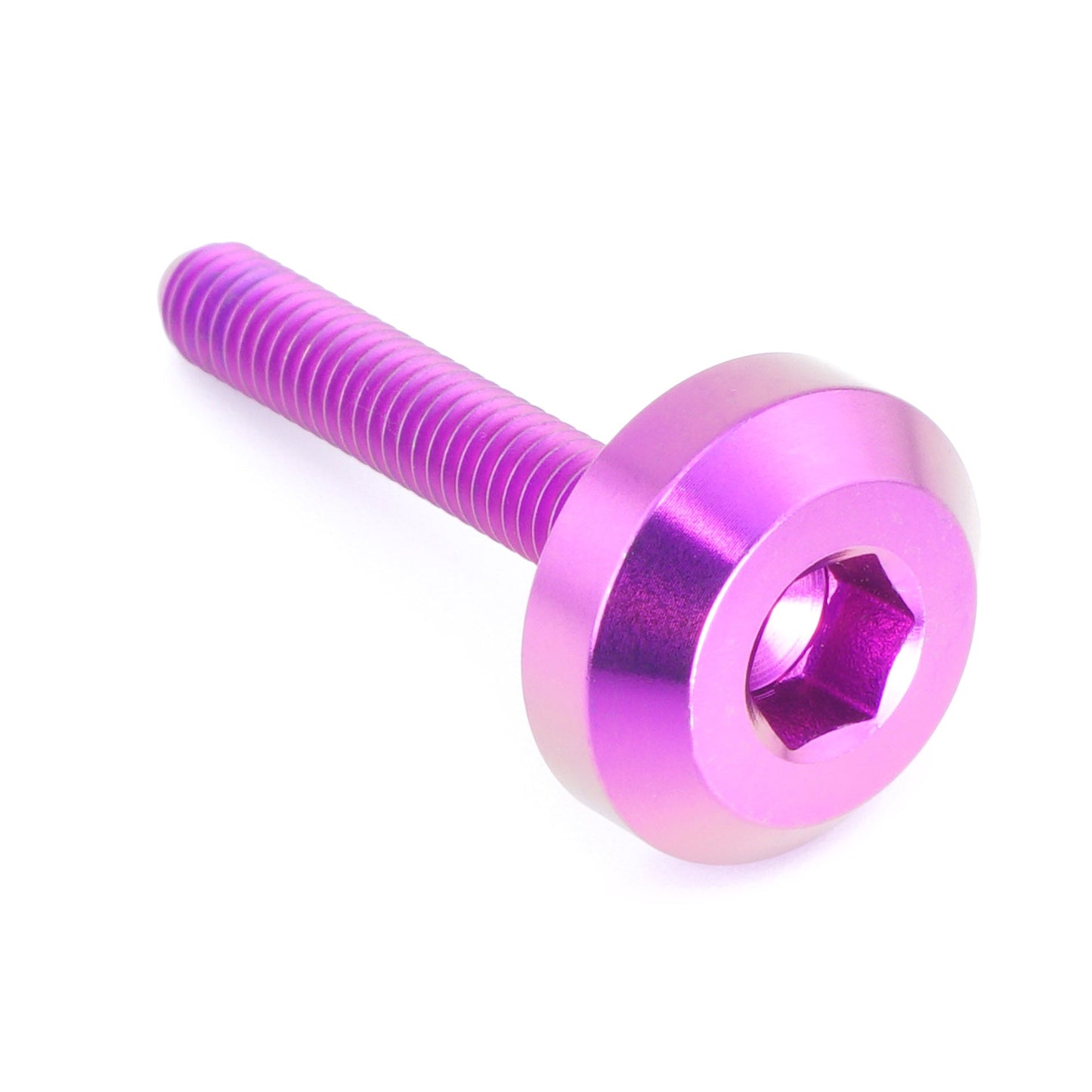 M4 x .7 x 25mm Titanium Motor Head Bolt