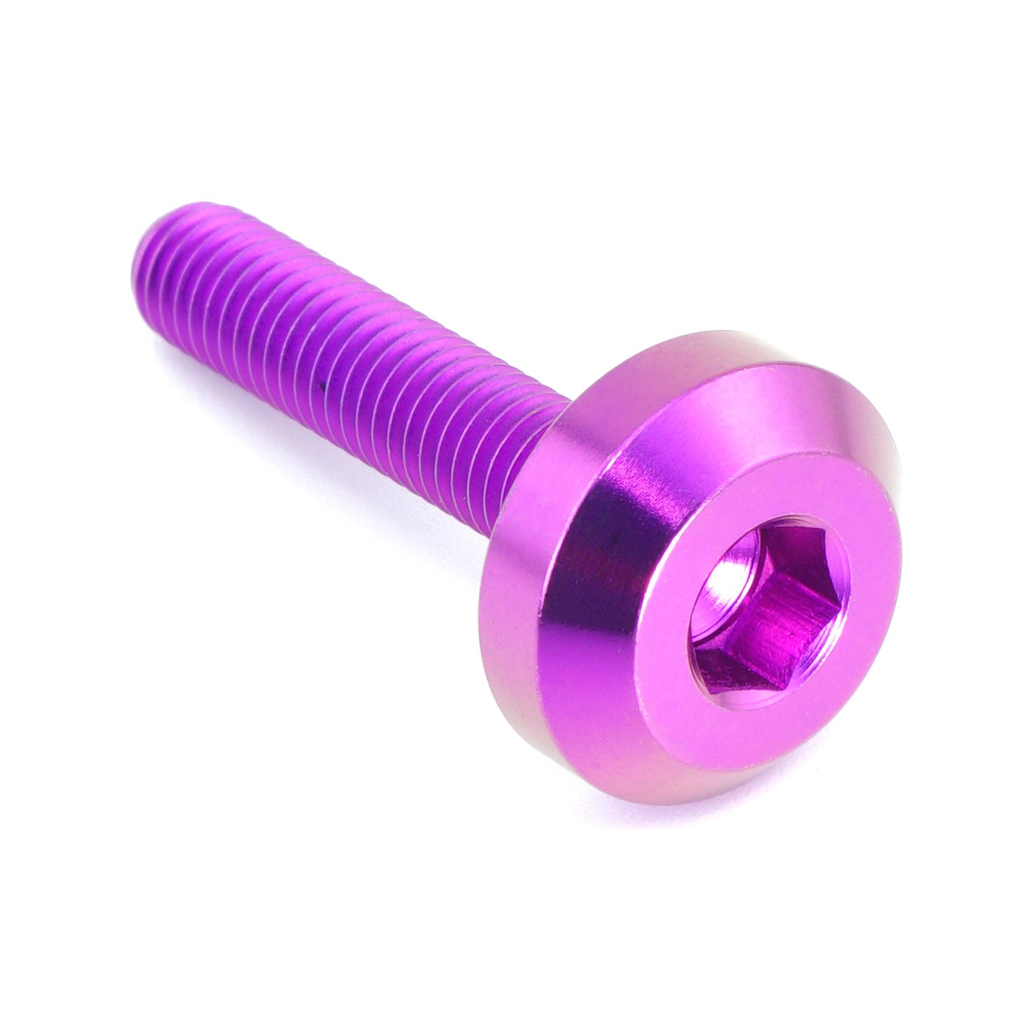 M5 x .8 x 25mm Titanium Motor Head Bolt