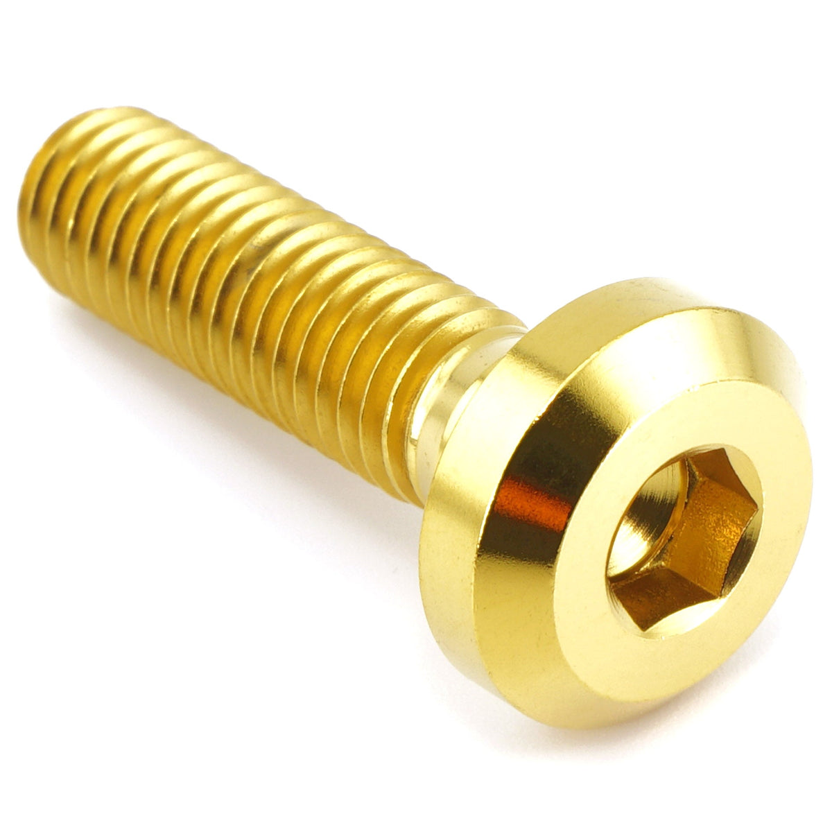 M8 x 1.25 x 30mm Titanium Motor Head Bolt
