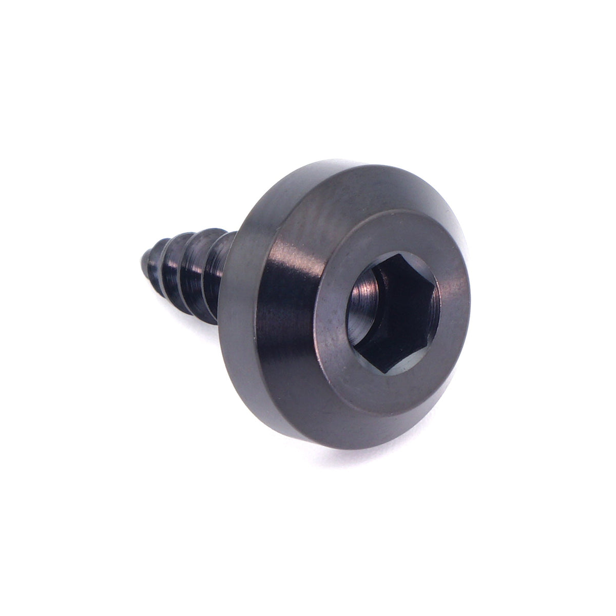 M5 x 2.0 x 15mm Titanium Motor Head Screw