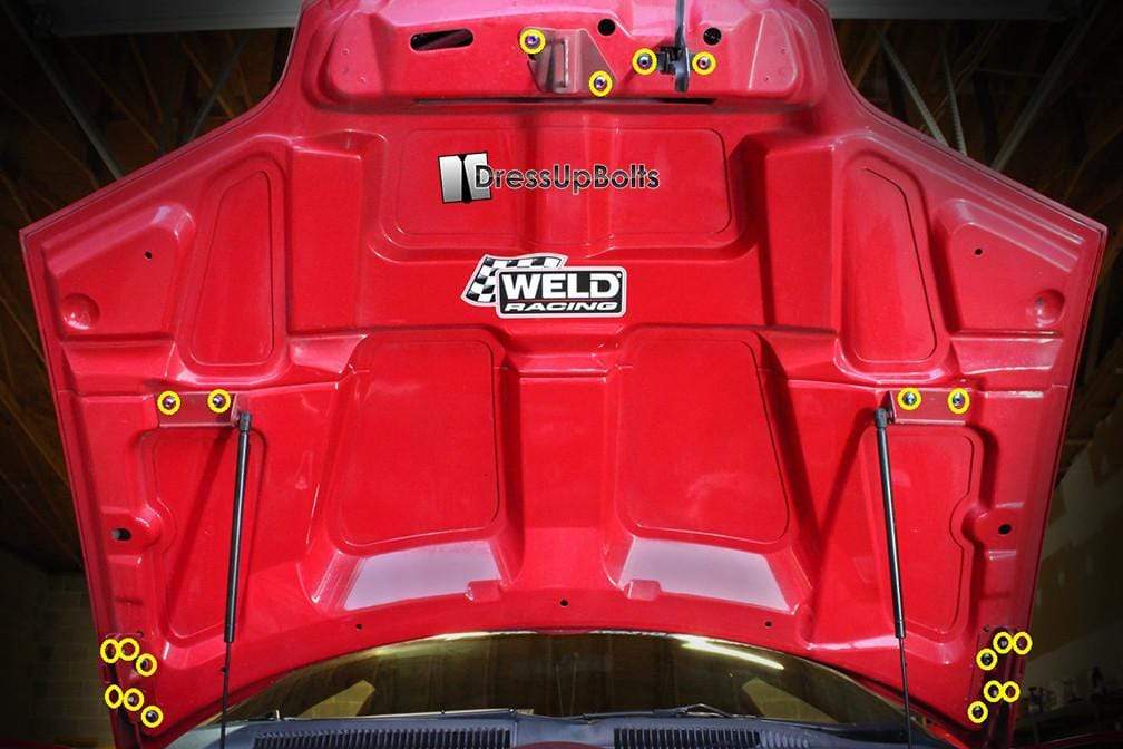Pontiac Firebird/Trans Am (1998-2002) F-Body Titanium Hood Kit