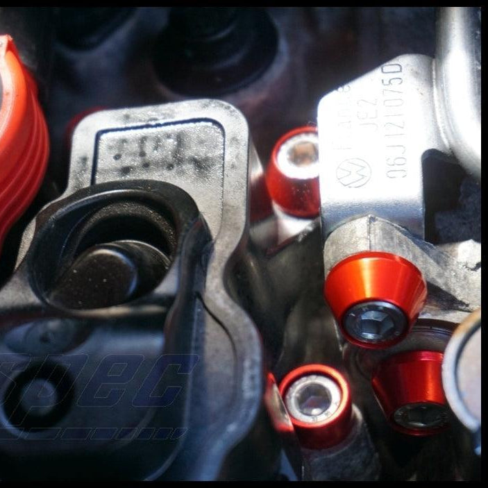 ZSPEC "Stage 3" Dress Up Bolts® Fastener Kit for '10-14 VW Golf & Jetta 2.5L MK6, Stainless & Billet