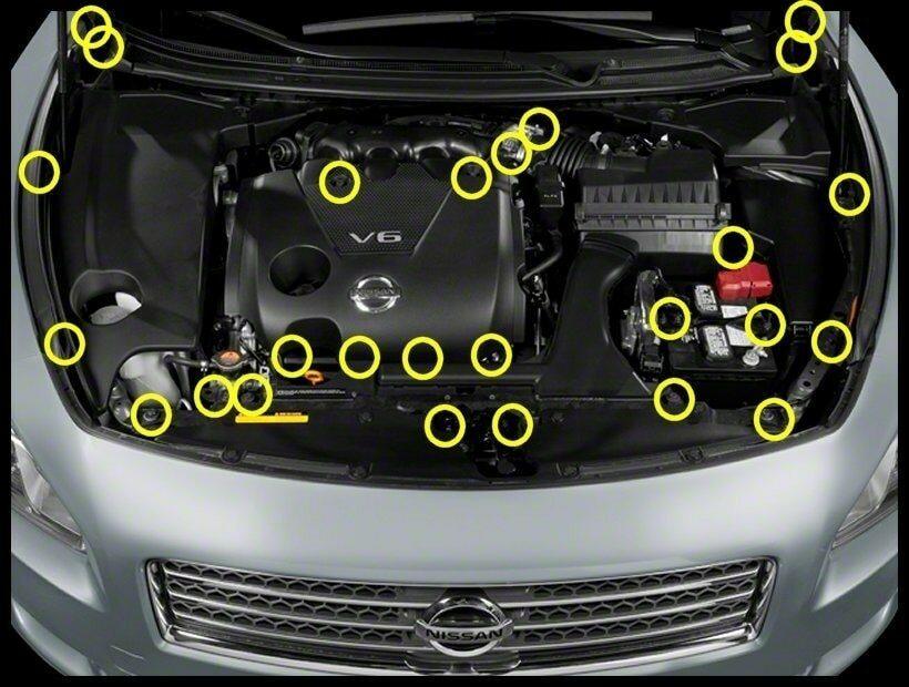 ZSPEC "Stage 2" Dress Up Bolts® Fastener Kit for '09-14 Nissan Maxima (A35), Titanium