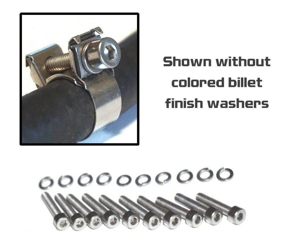 ZSPEC Fuel Clamp Dress Up Bolts® Fastener Kit for Mid-90's Nissan clamps, Stainless & Billet