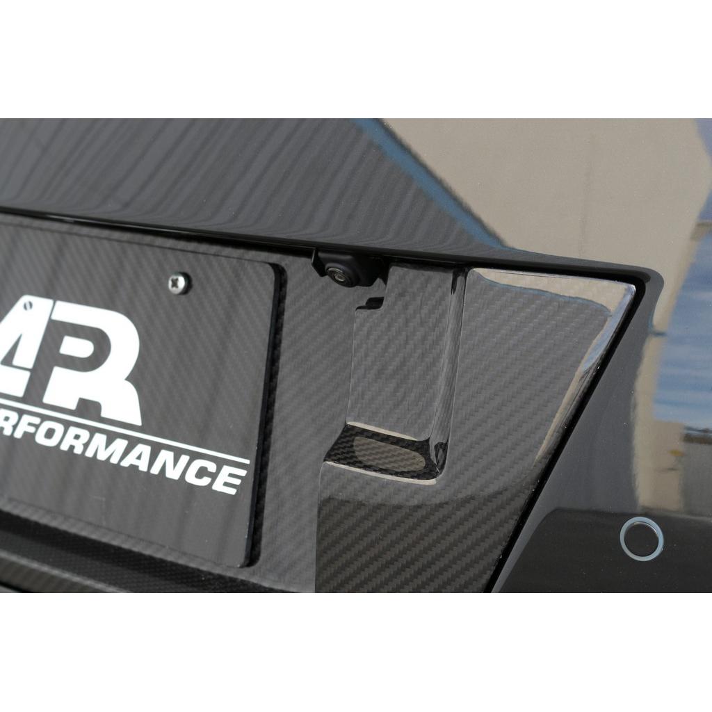 Carbon Fiber Nissan GTR R35 License Plate Backing 2017-2022