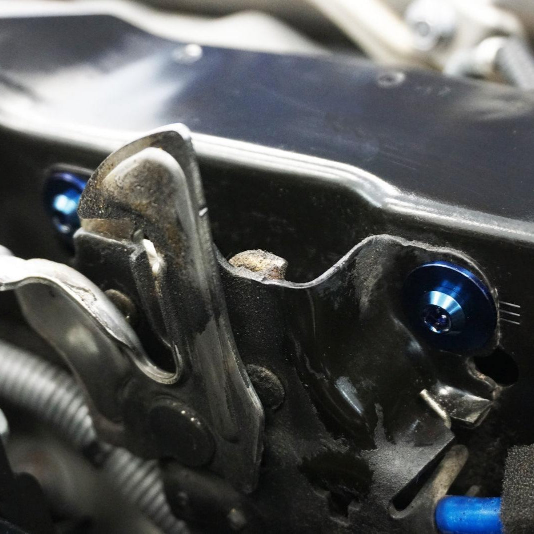 ZSPEC Hood Items Dress Up Bolts® Fastener Kit for the Civic FH8 Type R, Titanium