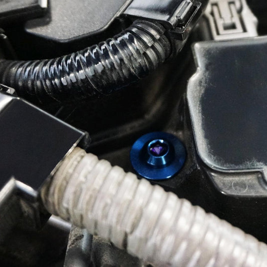 ZSPEC Coils Dress Up Bolts® Kit for the Civic FH8 Type R, Titanium