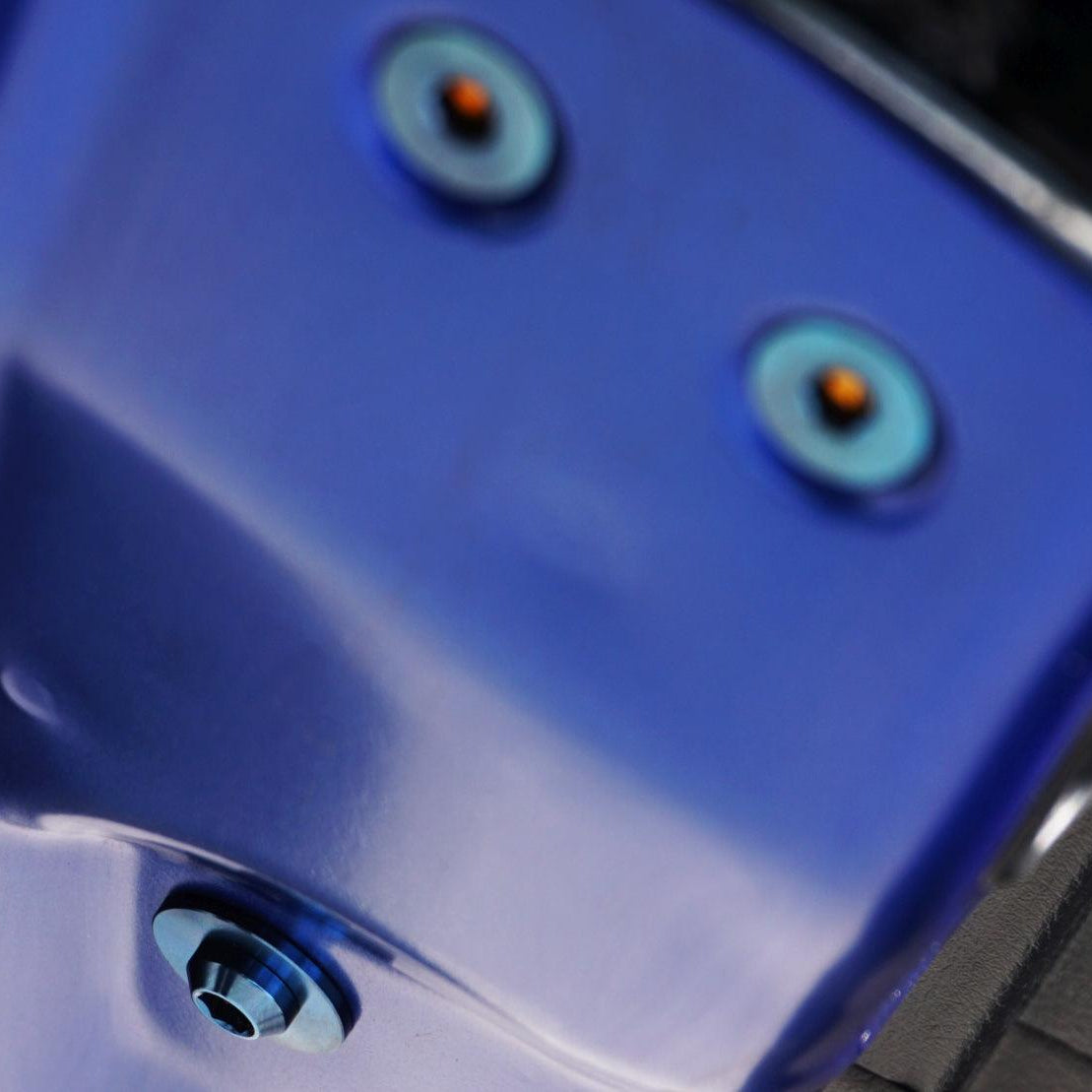 ZSPEC Dress Up Bolts® Door-Jam Area Fastener Kit for the Civic FK8 Type R, Titanium