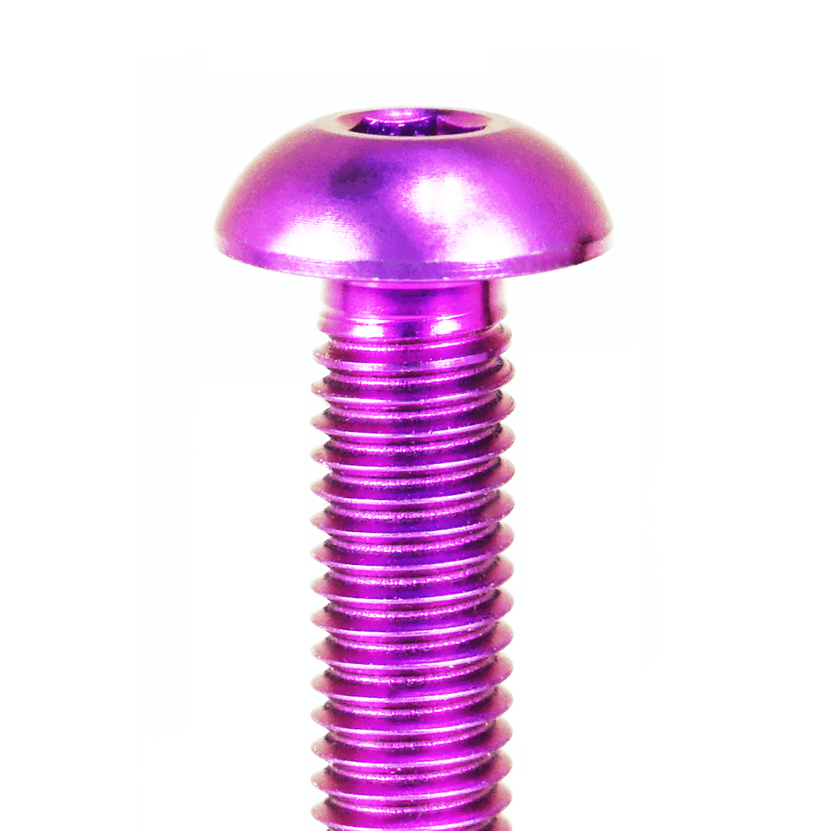 ZSPEC Button-Head Body Kit Fastener, M5x25mm w/ Well Nut, Titanium, per Each