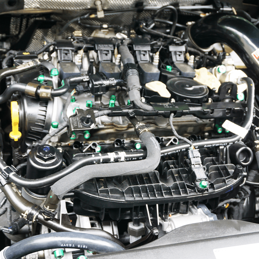 ZSPEC "Stage 3" Dress Up Bolts® Fastener Kit for '15+ VW Golf GTI 2.0L MK7, Stainless & Billet